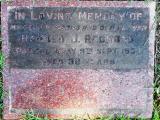 image of grave number 593922